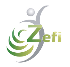 Logo ZEFI